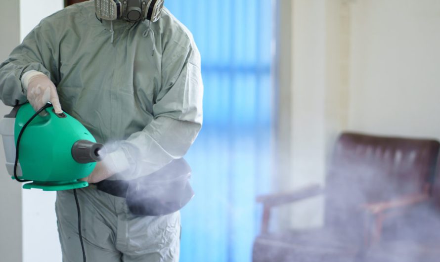 How Commercial Hygiene Services Can Transform Your Workplace